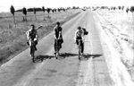 "Ifjsgi problma" (A sznakazlak s a lnyok egy msik kpkockn vannak.) - Bacs Pter: Szerelmes biciklistk, 1965