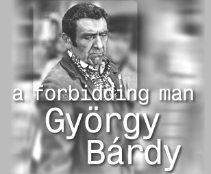 a forbidden man Gyrgy Brdy