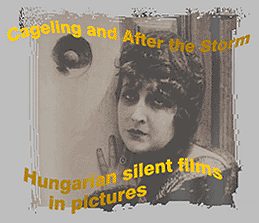Cageling and After the Storm - Hungarian silent films in pictures