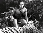 A dzsungel knyve (1942, r.: Korda Zoltn)