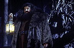 Robbie Coltrane (Hagrid)