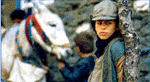 Bahram Ghobadi: Id a rszeg lovaknak, 2000