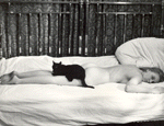 Szerelmi trtnet, avagy egy postskisasszony tragdija (1967)